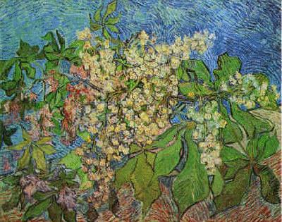 Vincent Van Gogh White Flowers with Blue Background Norge oil painting art